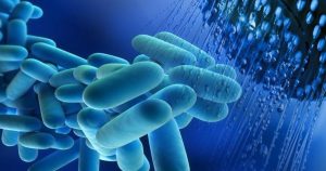Legionnaires Disease
