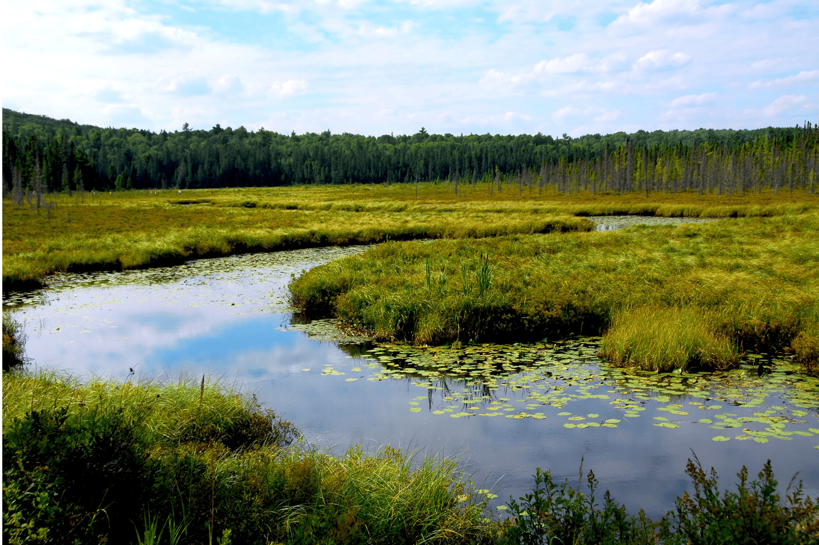 Website Image (28)
