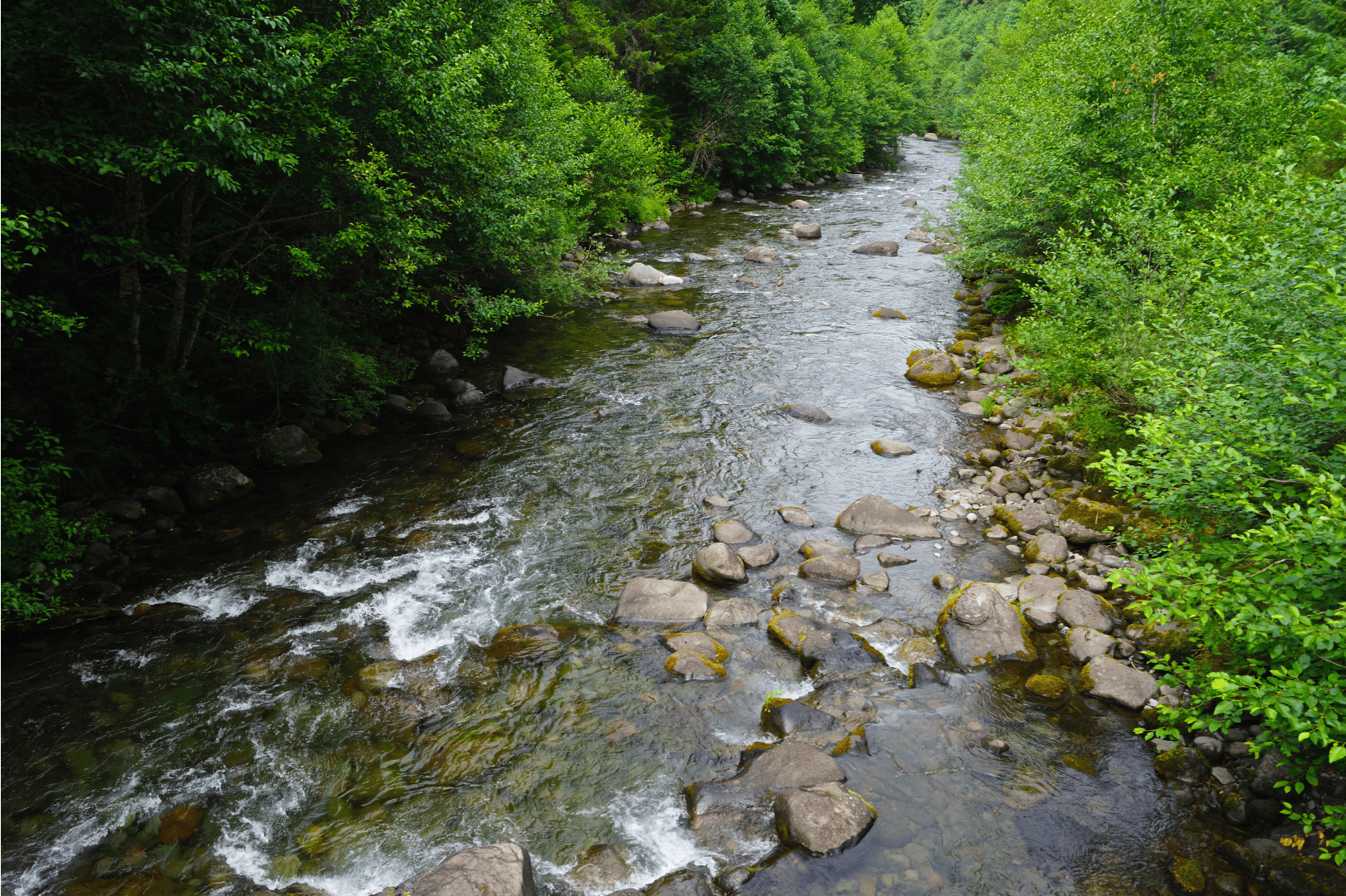 Website Image (29)